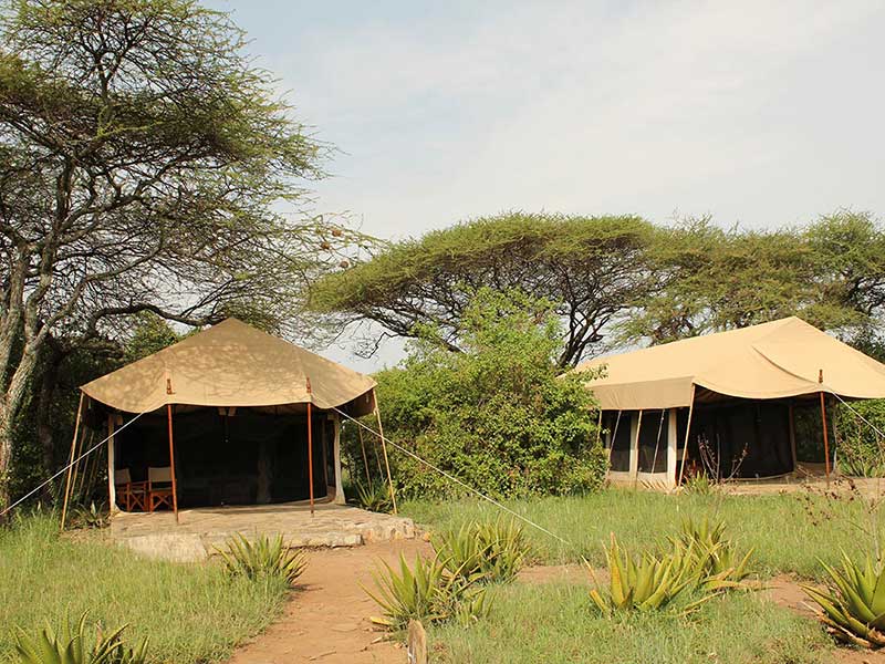 Mapito_Tented_Camp_06.jpg