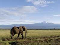 4 Tage Tsavo West Amboseli und Tsavo Ost